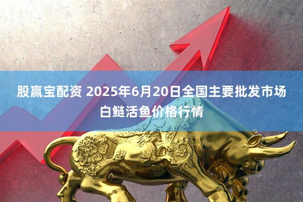 股赢宝配资 2025年6月20日全国主要批发市场白鲢活鱼价格行情