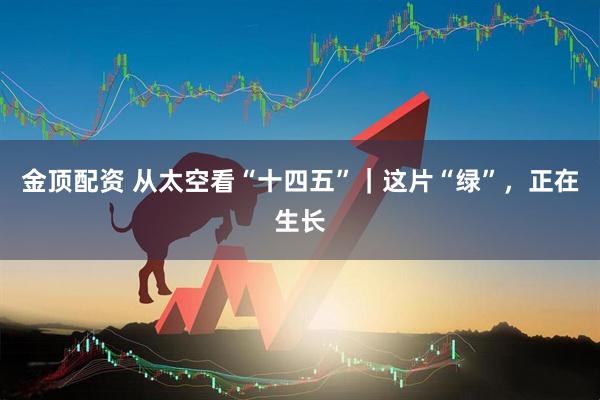 金顶配资 从太空看“十四五”｜这片“绿”，正在生长