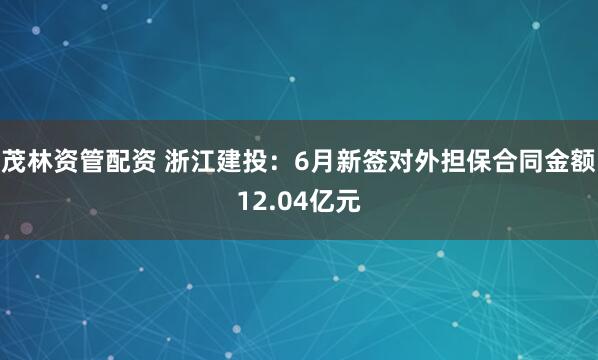 茂林资管配资 浙江建投:6月新签对外担保合同金额12.04亿元